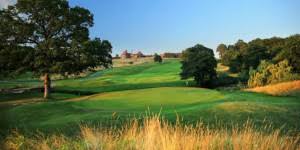 Image result for Lewes Golf Club