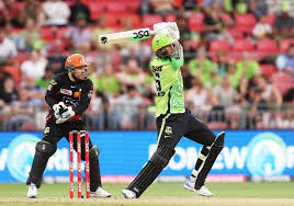 Image result for Hales Cricket Club