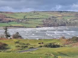 Image result for Cardigan Golf Club