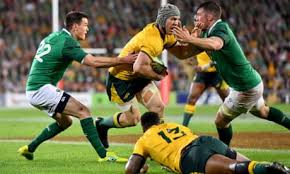 Image result for Bingham Rugby Union Football Club