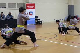 Image result for Shaolin Nam Pai Chuan Kung Fu - Manchester Martial Arts Centre