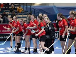 Image result for Reading University Floorball Club