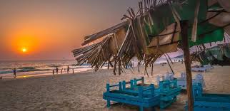Image result for goa beaches