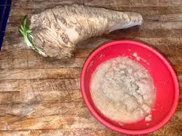 Attēlu rezultāti vaicājumam “Armoracia rusticana bud”