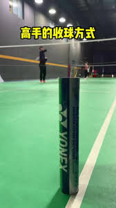 Image result for Tag Badminton Club