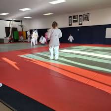 Image result for Anfield Youth Activity Centre Judo Club