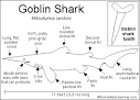 GOBLIN SHARK - Enchanted Learning Software