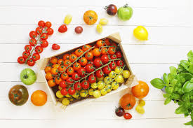 Bildergebnis für tomaten