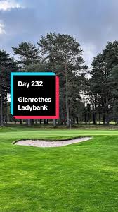 Image result for Glenrothes Grizzlies