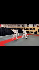 Image result for Seiki Juku Karate Club