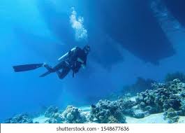 Image result for Three Seas Diving
