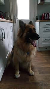 Image result for Maxt, Lancashire