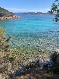 Image result for capo d'orso