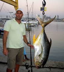 Image result for Caranx hippos