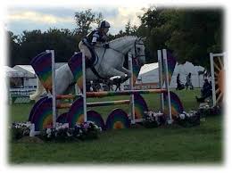 Image result for Huntingdon and District Riding Club