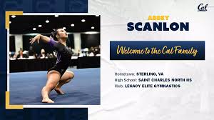 Image result for Abbey Gymnastics Club