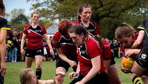 Image result for Lancaster University Wing Chun Society