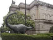 Carnegie Museum of Natural History - Artsburgh
