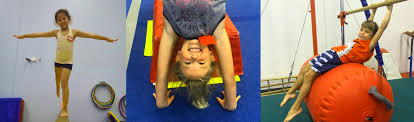 Image result for Mk Springers Gymnastics Club