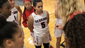 Image result for Elmbridge Girls Basketball Club