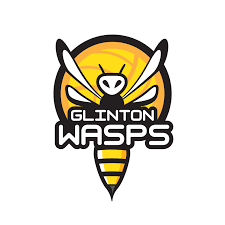 Image result for Wasps Football Club