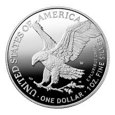 Image result for silver sa