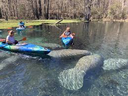 Image result for Cumbernauld & Kilsyth Kayak Club