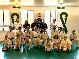 Image result for Southill Karate Club