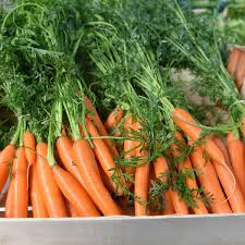 Image result for Möhren