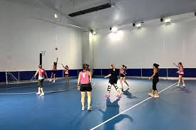 Image result for Galmington Netball Club