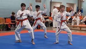 Image result for Loughton Wado-Kai Karate Club
