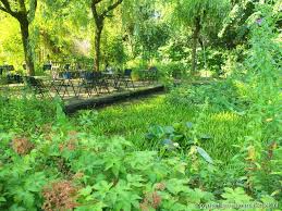 Image result for Priona Tuinen