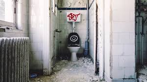 Image result for german toilet