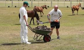 Image result for Lyndhurst Cricket Club