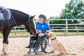 Image result for Riding For The Disabled Association