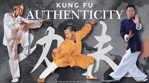 Image result for kung fu