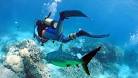 Sky Dive, or Deep Sea Diving?