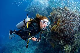 Image result for Leicester Underwater Exploration Club