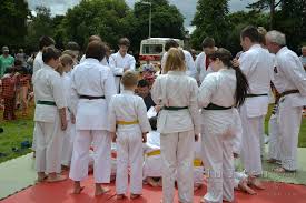 Image result for Ju Jitsu Tavistock