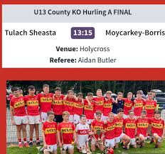 Image result for Moycarkey-Borris Gaa Club