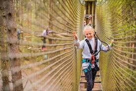 Image result for Go Ape! Thetford
