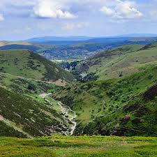 Image result for Long Mynd