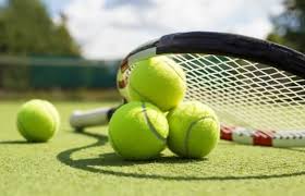 Image result for Mole Valley Mini Tennis Club