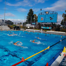 Image result for Stockton Swimming Club