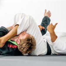 Image result for Revolution Dojo