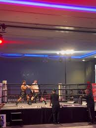 Image result for Calibre Performance Coaching