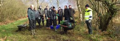 Image result for County Antrim Harriers