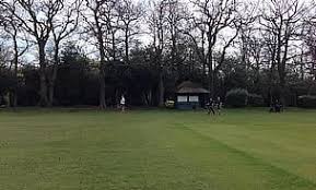 Image result for Valley End Cricket Club