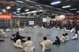 Image result for Arlington Martial Arts Academy