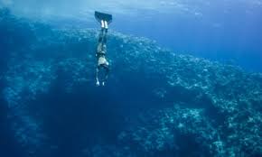 Image result for Deep Blue Diving